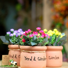 Chậu hoa gốm hoa nụ