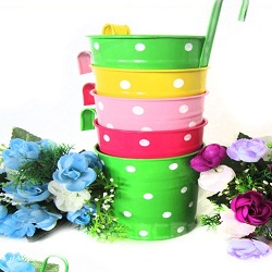 Chậu hoa thiếc tròn chấm bi (hết hàng)