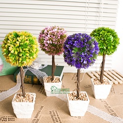 Chậu cây nhựa tròn loại lớn