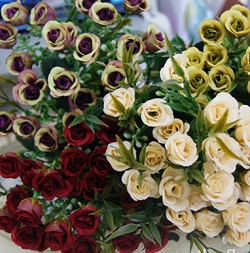 Hoa hồng hàn quốc (1 bụi)