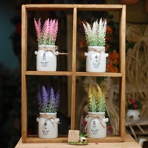 Chậu hoa cỏ nhỏ