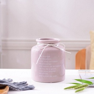 Bình sứ cắm hoa quấn dây 2 màu - Hồng