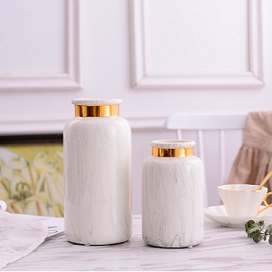 Bình sứ cắm hoa trắng viền vàng 