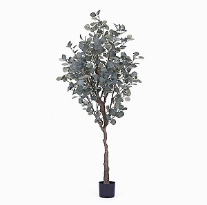 Chậu cây kim tiền lá tròn giả trang trí 1,65m