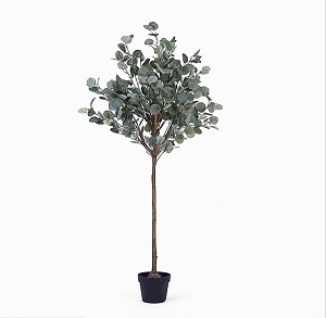 Chậu cây kim tiền lá tròn giả trang trí 1,5m