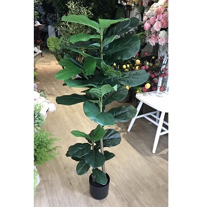 Cây bàng giả trang trí cao 1,3m (hết hàng)
