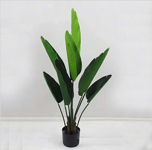 Cây chuối cảnh giả 1,2m