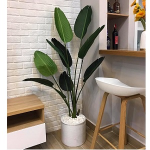 Cây chuối cảnh giả trang trí kèm chậu 1m6
