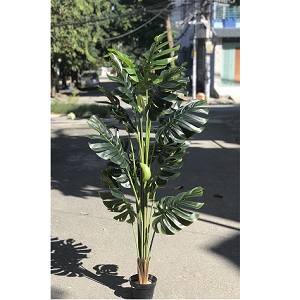 Cây giả trang trí - Cây lá xẻ 1,8m 