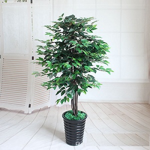 Cây bên lá xanh giả cao 1,6m (chưa chậu)