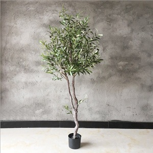 Cây ô liu giả trang trí loại cao 1,8m