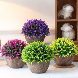 Chậu cây nhựa mập tròn (1 chậu) ( Hết hàng )