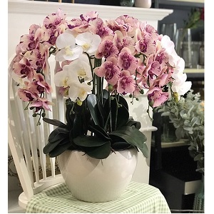 Bình hoa lan hồ điệp màu tím trắng