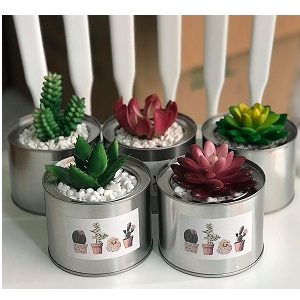 Chậu cây thiếc tròn nhỏ