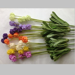 Hoa bồ công anh vải (1 bụi)