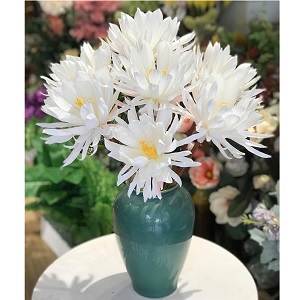 Hoa vải - Hoa Quỳnh trắng