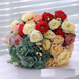 Hoa sơn trà vải (1 bụi)