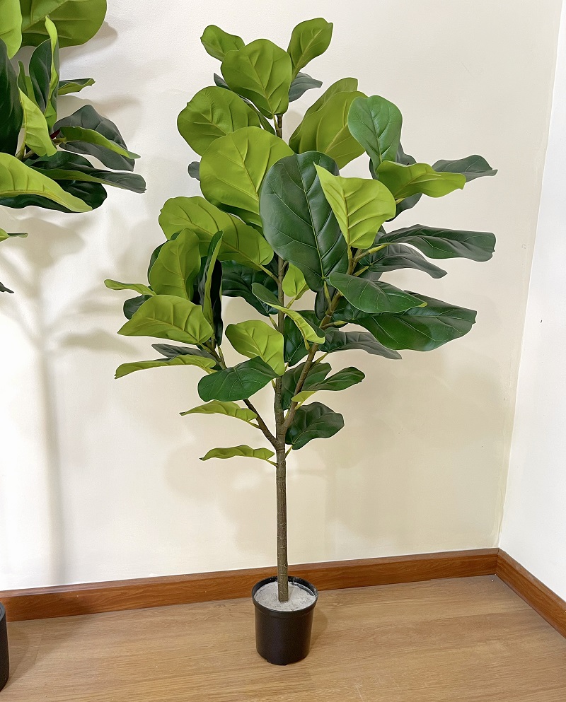 Cây bàng Singapore giả trang trí cao cấp đẹp giống thật