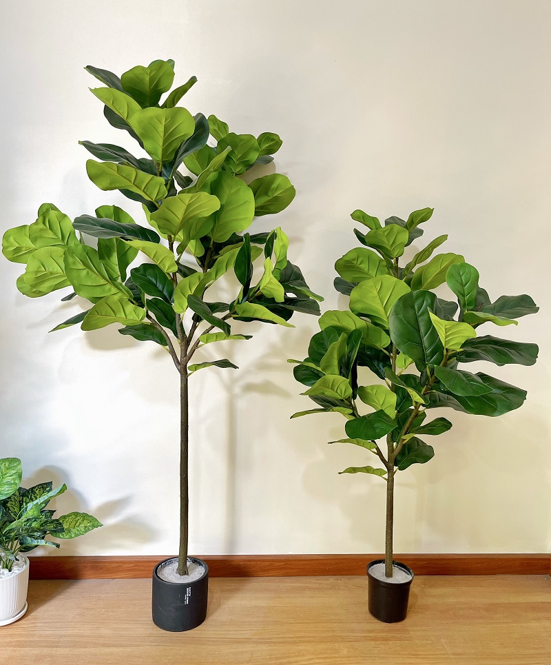 Cây cảnh giả trang trí cây bàng Singapore 