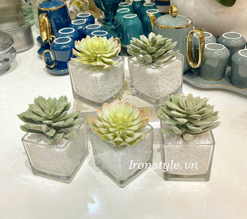 Chậu hoa sen đá giả nhỏ để bàn trang trí