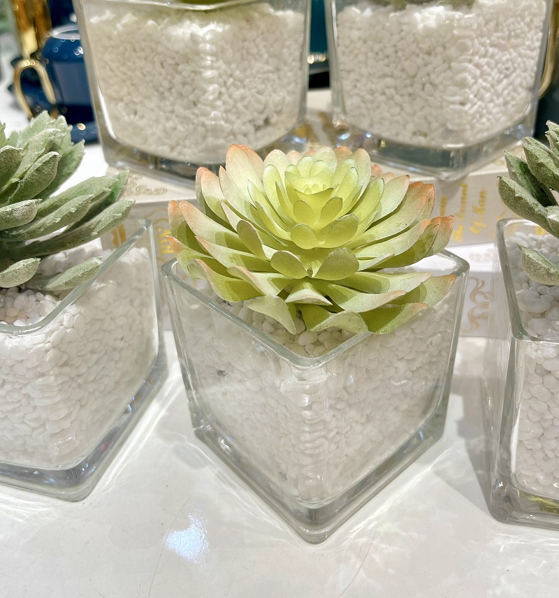 Chậu hoa sen đá giả để bàn đẹp giống thật