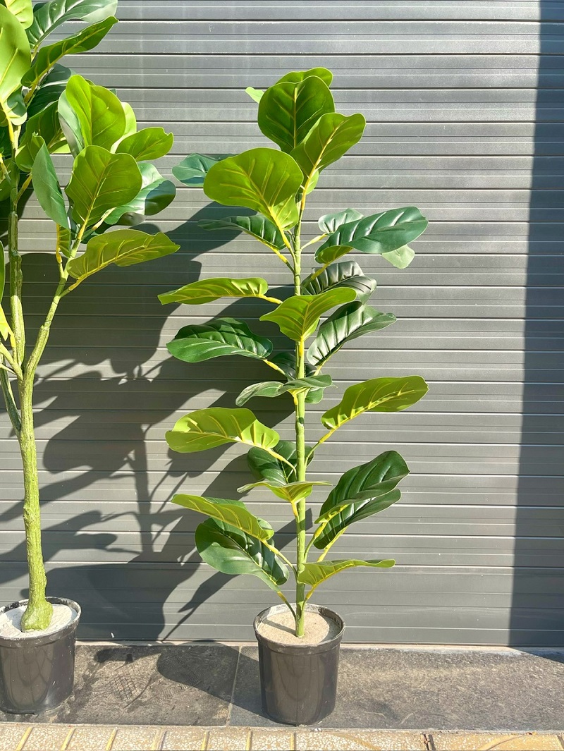 Cây bàng giả trang trí trong nhà đẹp giống thật