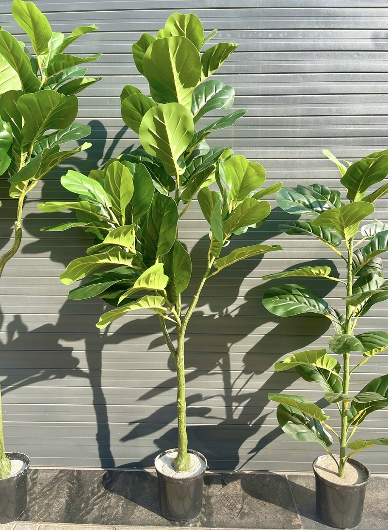 Cây bàng giả đẹp trang trí nội thất