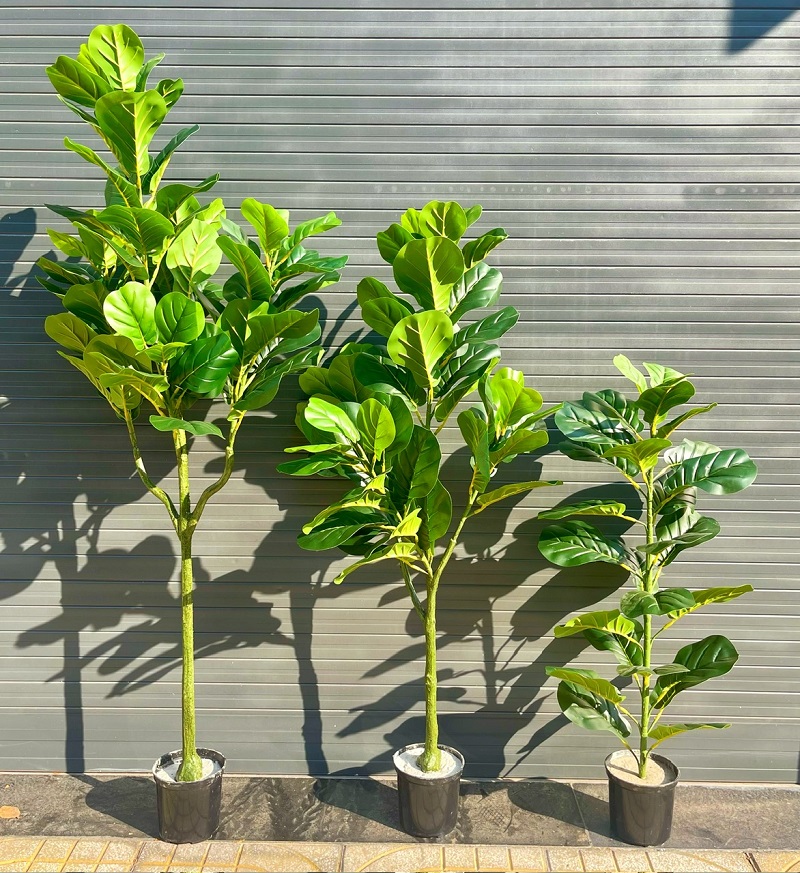 Cây bàng Singapore giả trang trí nội thất đẹp giống thật