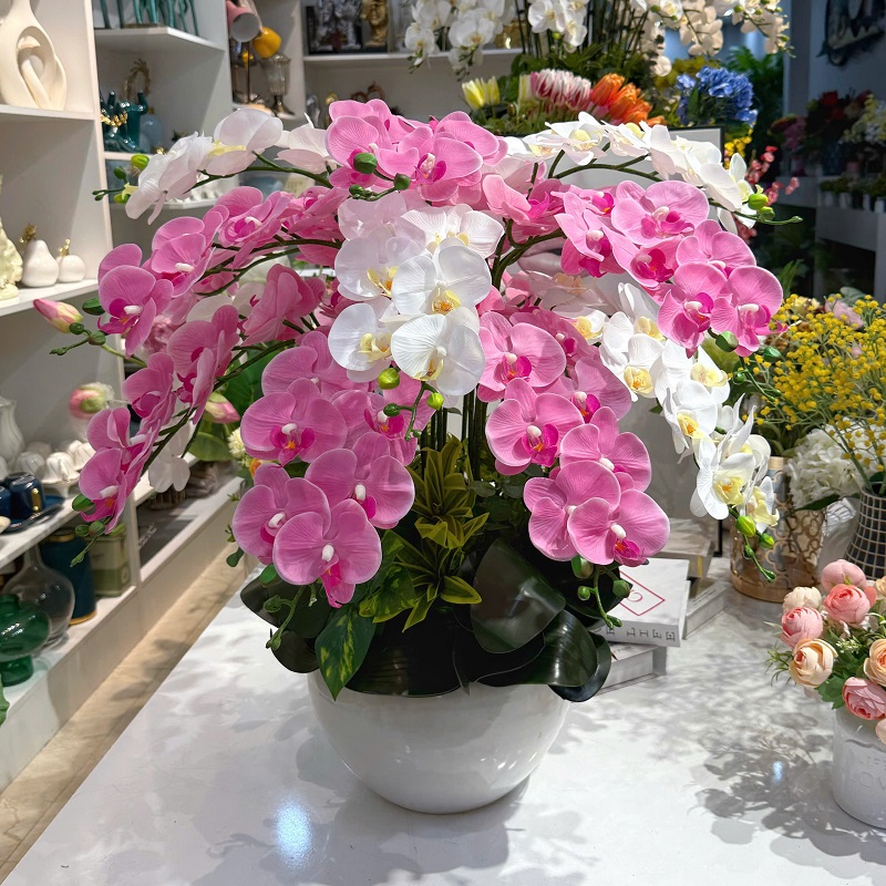 Bình hoa lan hồ điệp giả màu hồng