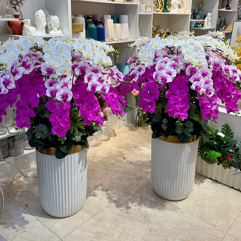 Chậu hoa lan hồ điệp giả đẹp giống thật