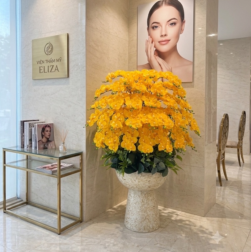 Chậu hoa lan kích thước lớn trang trí sảnh
