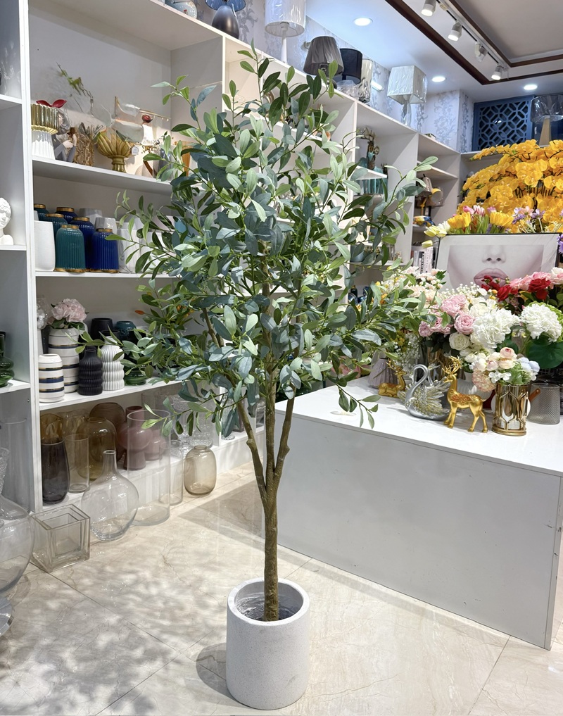 Cây ô liu giả lá bạc trang trí đẹp