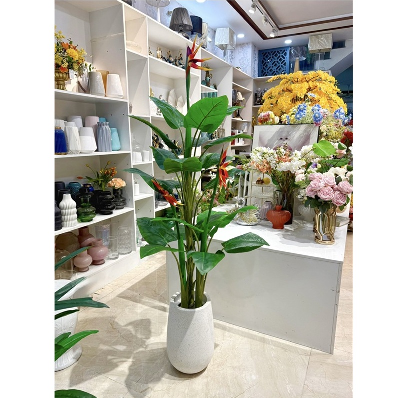 Chậu cây hoa thiên điểu trang trí đẹp giống thật