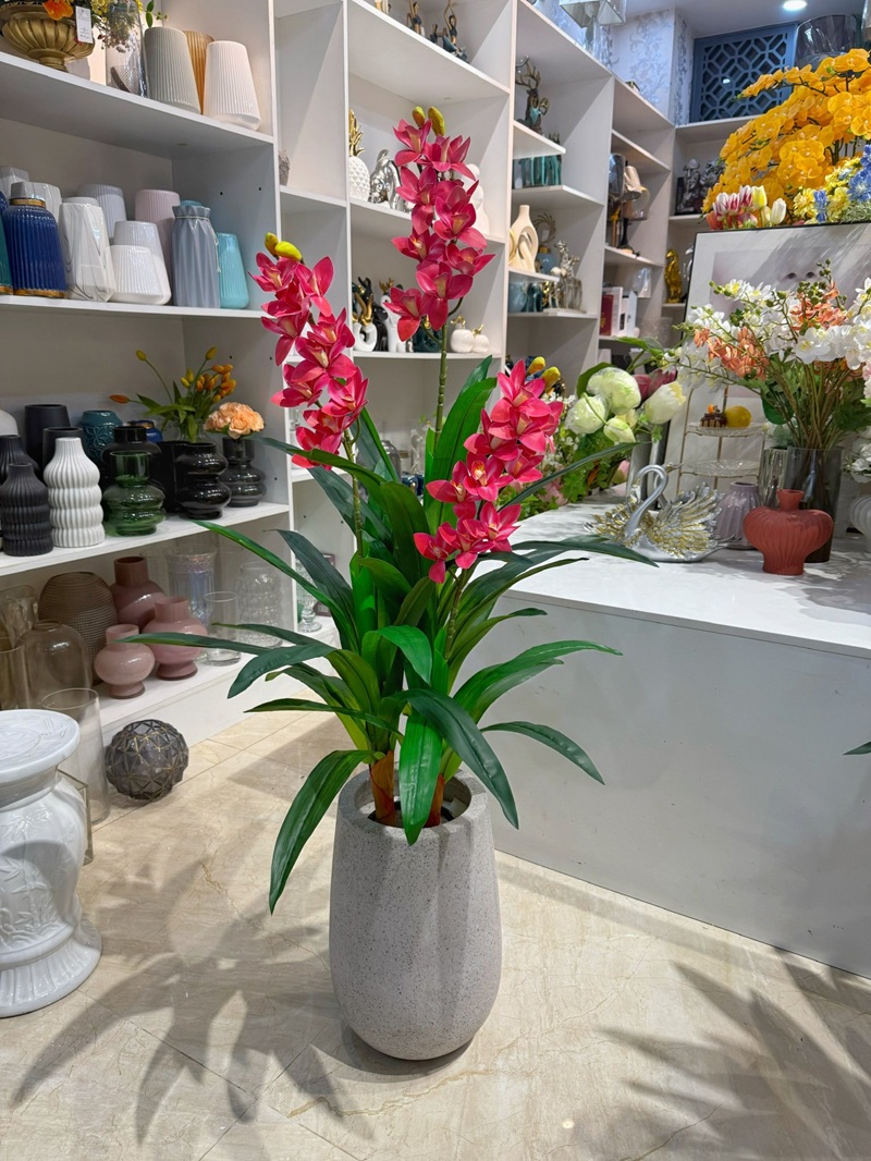 Chậu cây hoa địa lan giả giống thật trang trí trong nhà