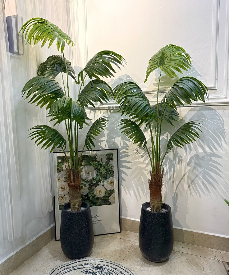 Cây cọ giả decor trang trí nhà đẹp giống thật
