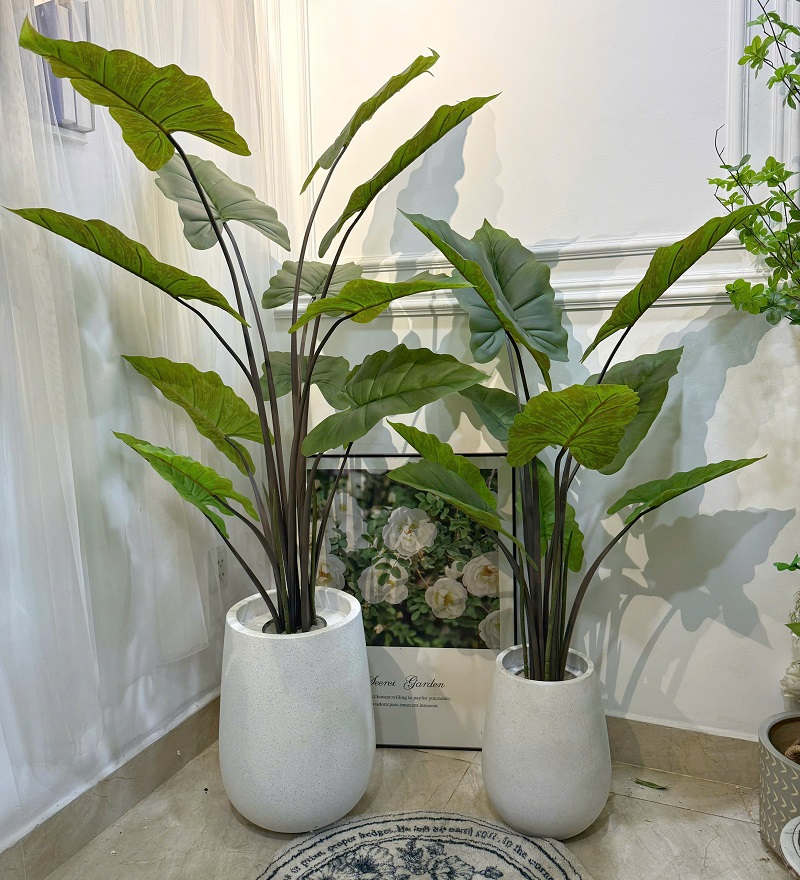 Cây khoai môn giả kèm chậu cao cấp đẹp giống thật