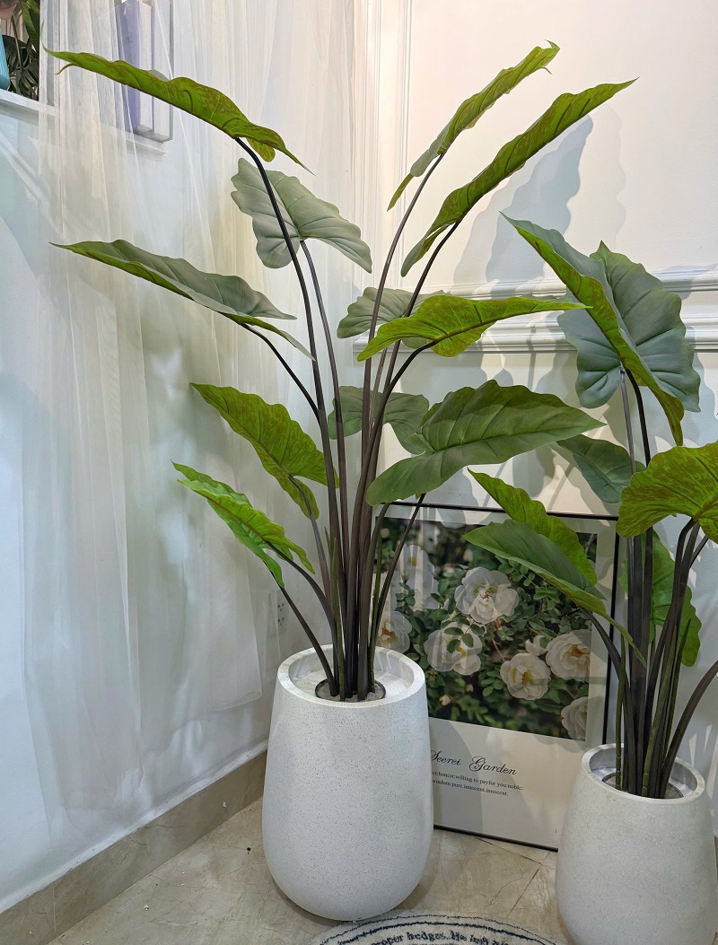 Chậu cây khoai môn giả cao cấp