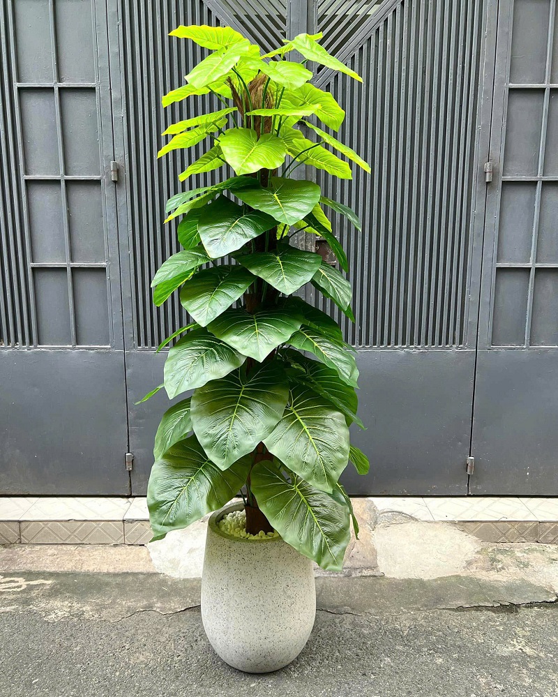 Chậu cây trầu bà leo cột giả trang trí giống thật