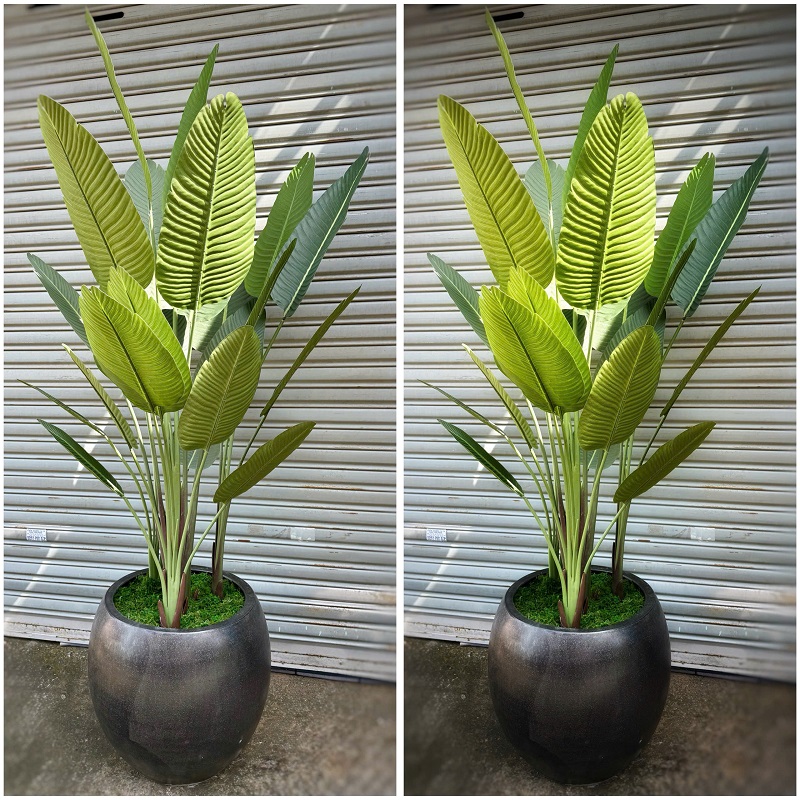 Chậu cây chuối giả decor trang trí giống thật