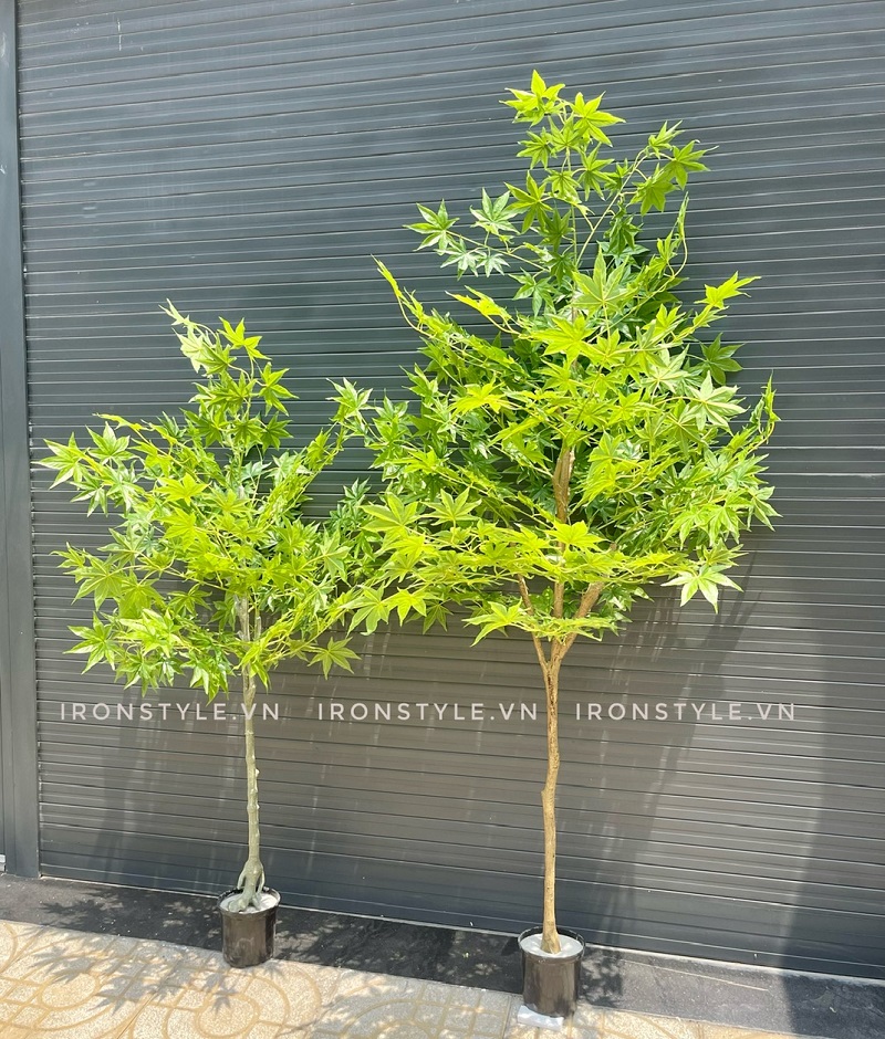 Cây phong giả lá xanh trang trí giống thật