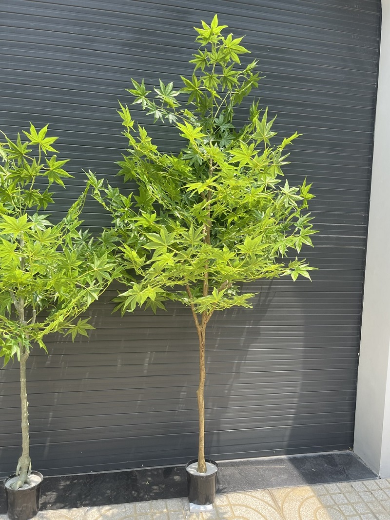 Cây lá phong xanh giả trang trí giống thật