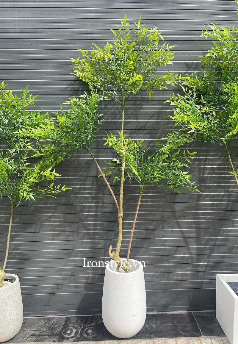 Cây nam thiên trúc giả đẹp giống thật