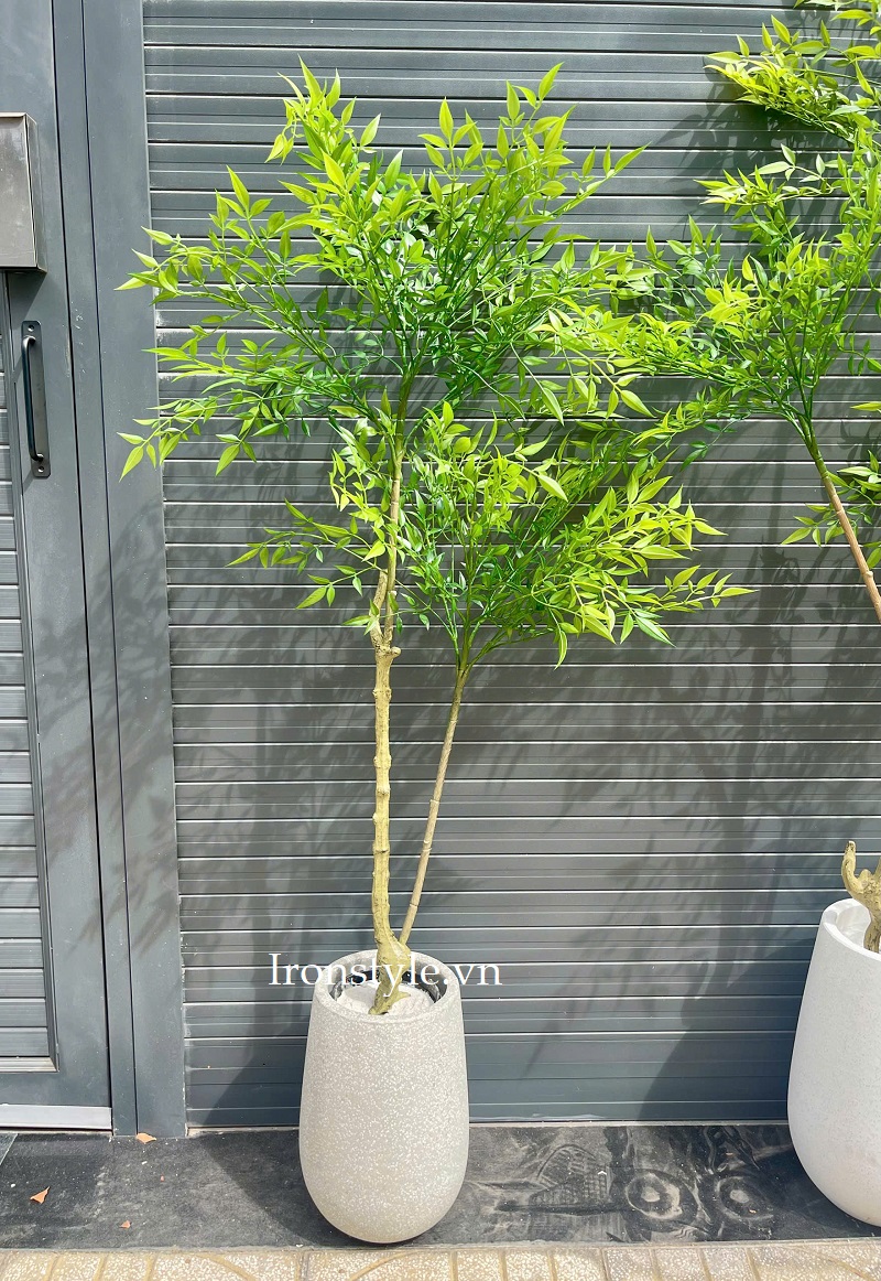Cây nam thiên trúc giả trang trí nội thất đẹp