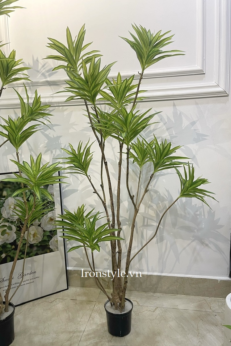 Cây thủy trúc giả trang trí phòng khách 