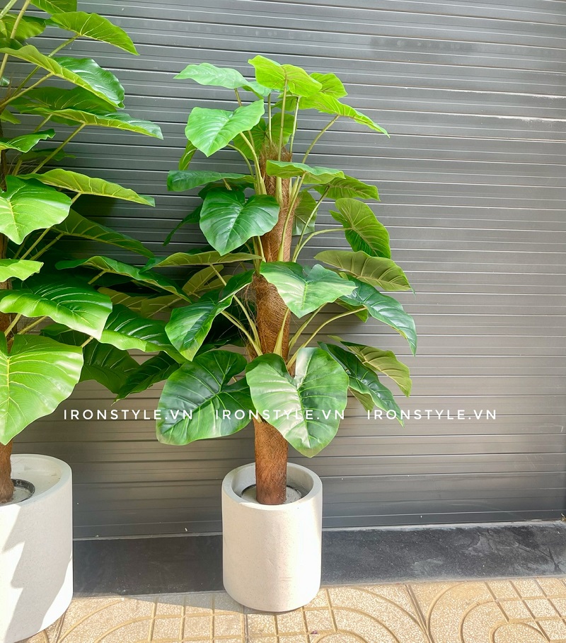 Cửa hàng bán cây trầu bà giả tại TPHCM