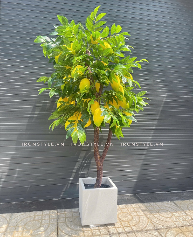 Cây xoài giả có trái trang trí đẹp giống thật