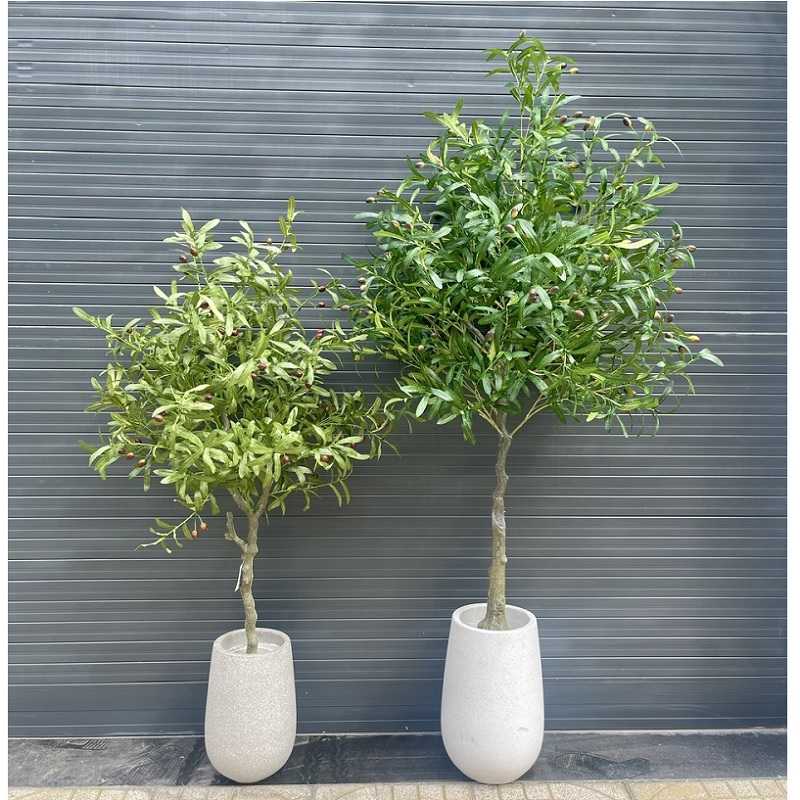 Cây oliu giả đẹp giống thật