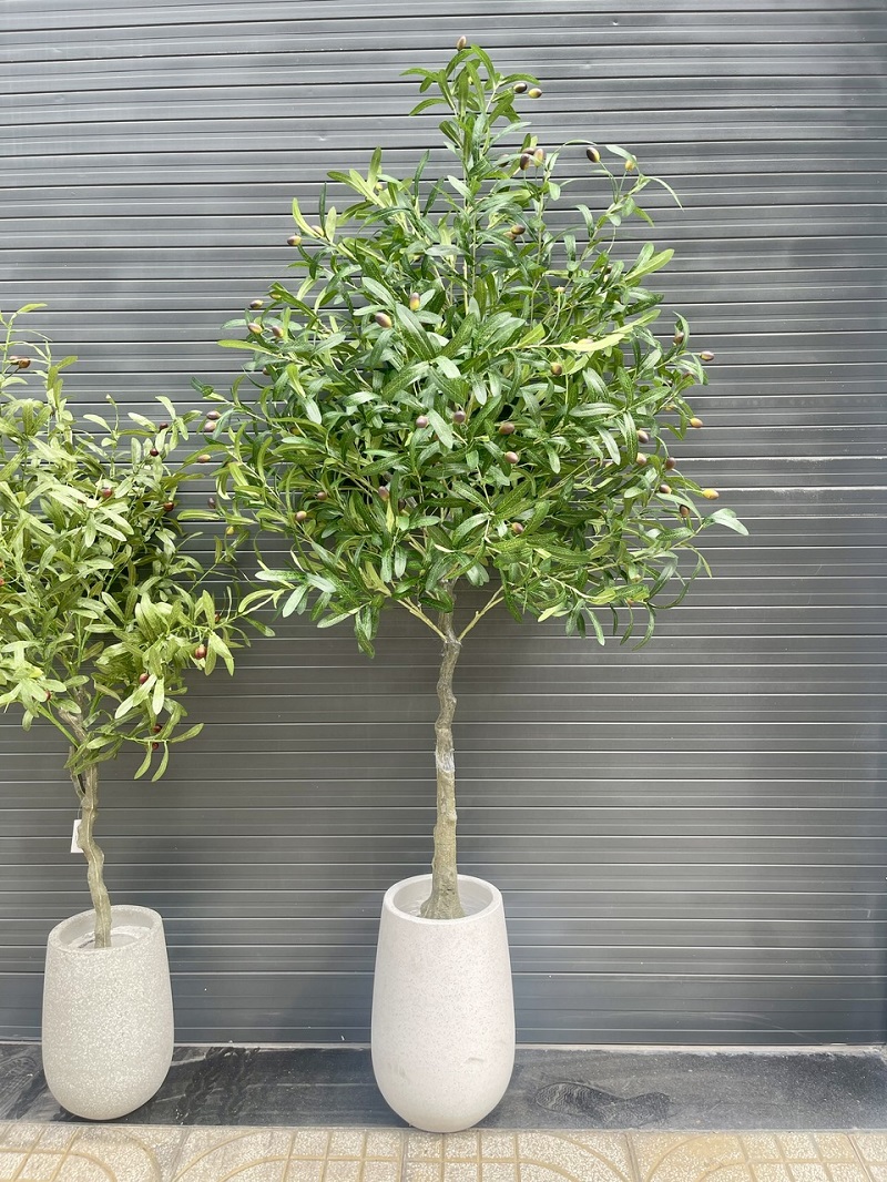 Cây olive giả trang trí nội thất