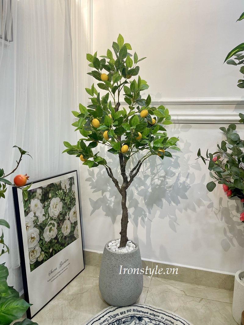 Chậu cây chanh giả trang trí