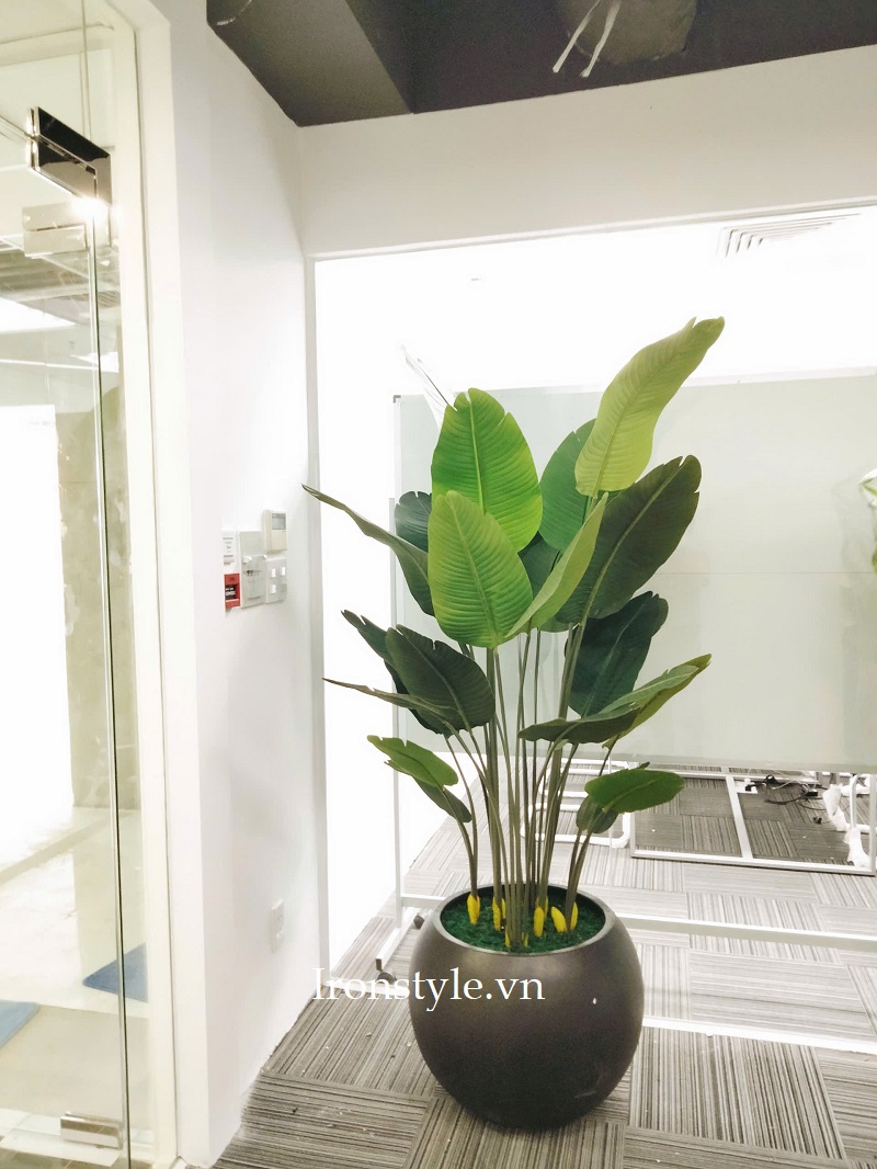 Cây chuối giả trồng sẵn chậu trang trí cao cấp